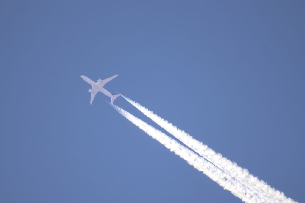 Mexico LGBTQ+ Tourism Booms as International Arrivals Up